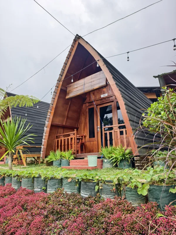 1 Omah Lombok Mamak Kemuning