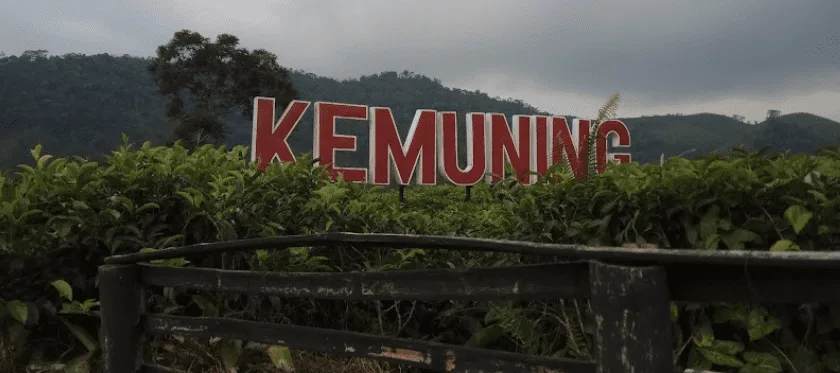 Kebun Teh Kemuning Karanganyar